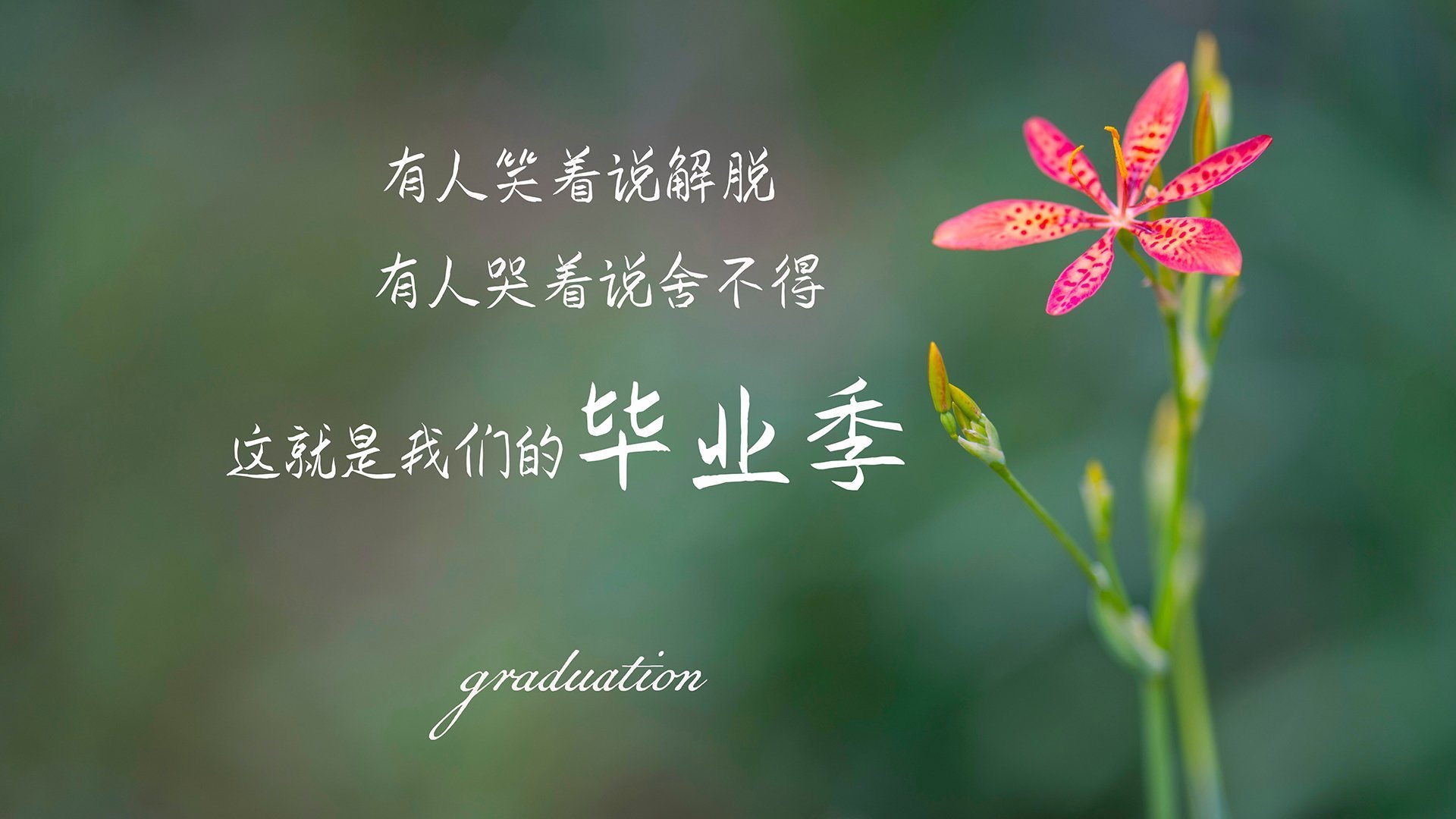 史上最快两双：蒂伊在对阵掘金的比赛中，仅用28分钟完成！
