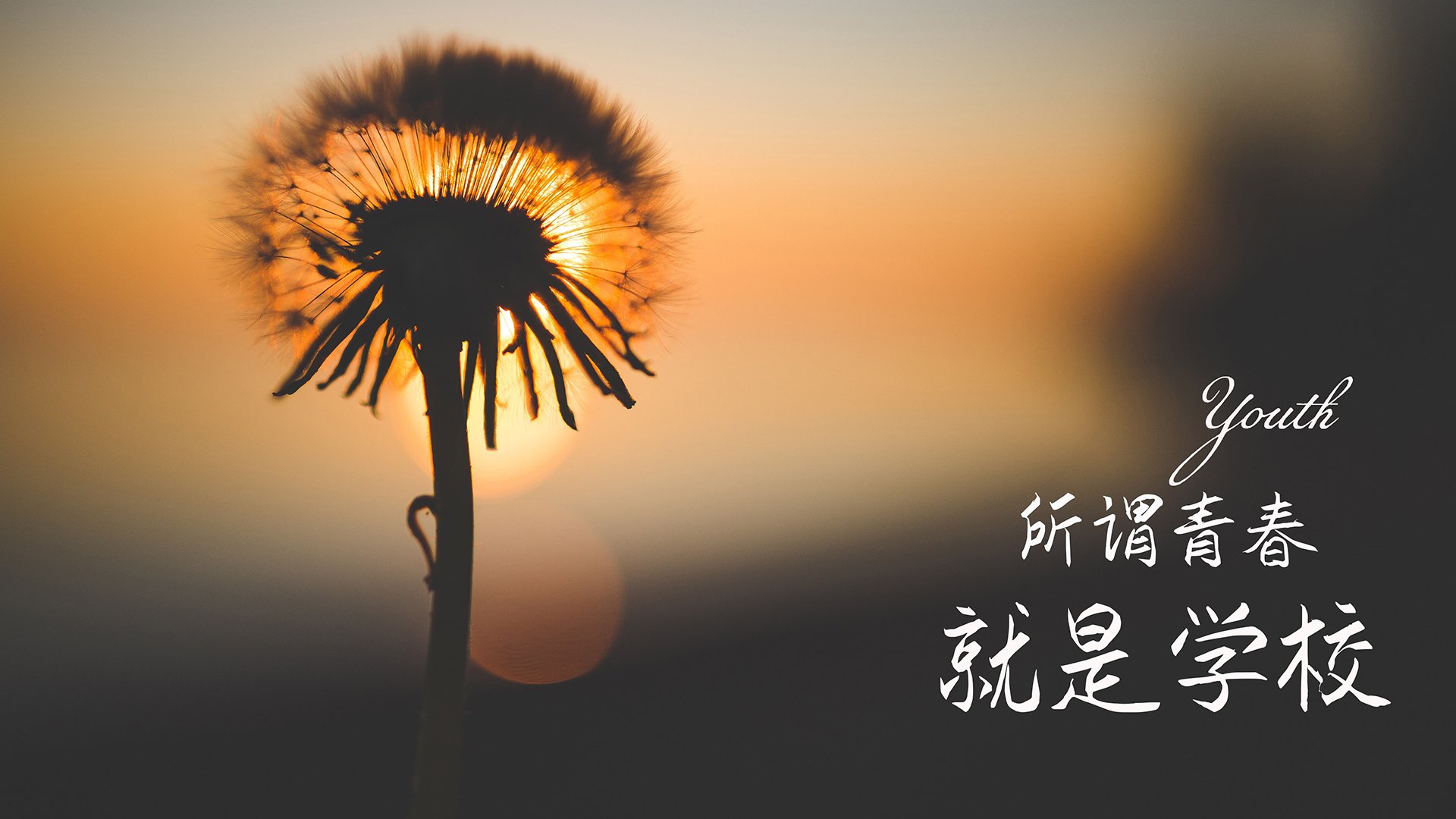 曼联夺得英格兰联赛杯，滕哈赫带队首冠，英格兰联赛杯 曼联