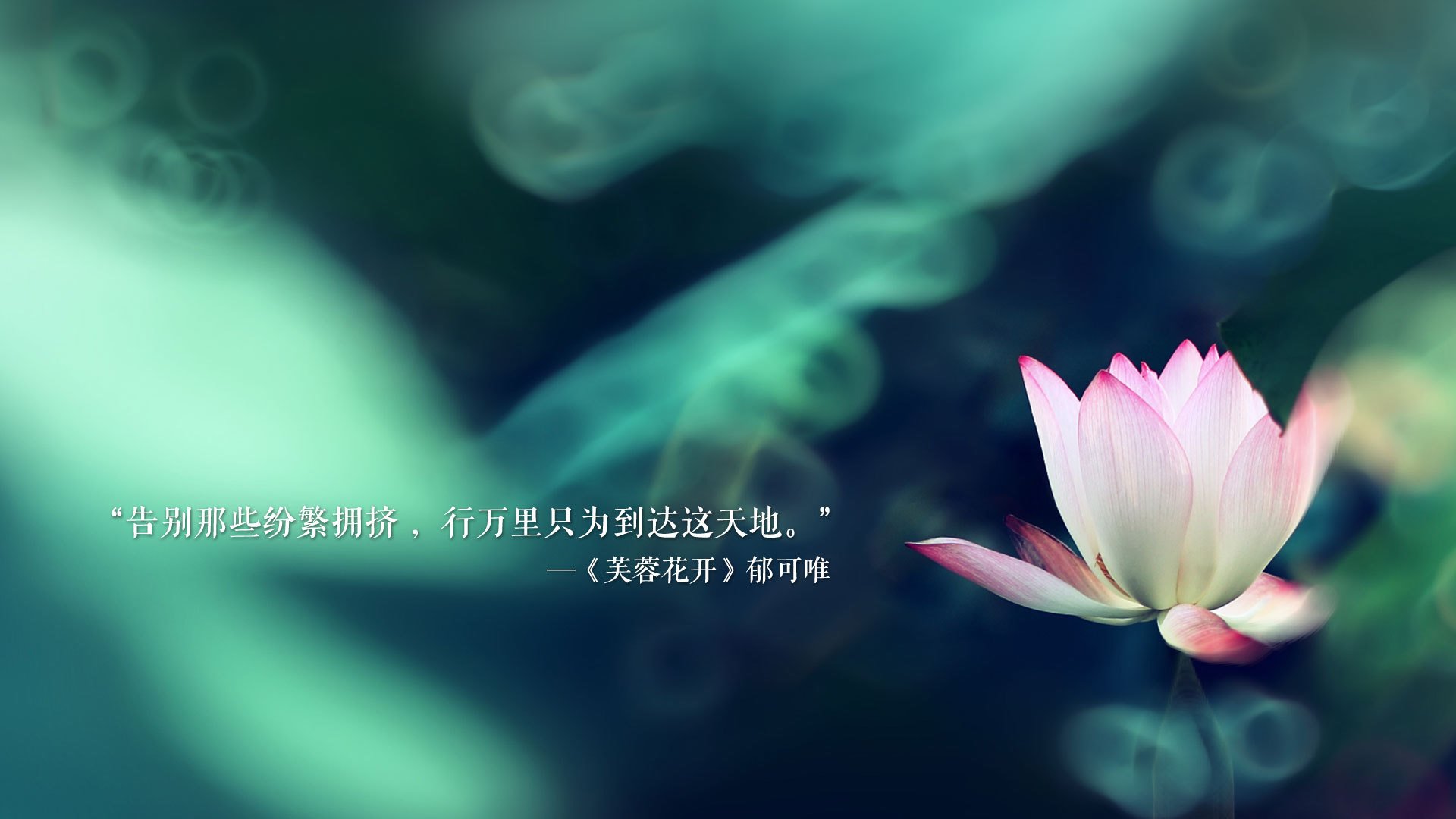 CBA联赛市场开发策略，cba运作模式