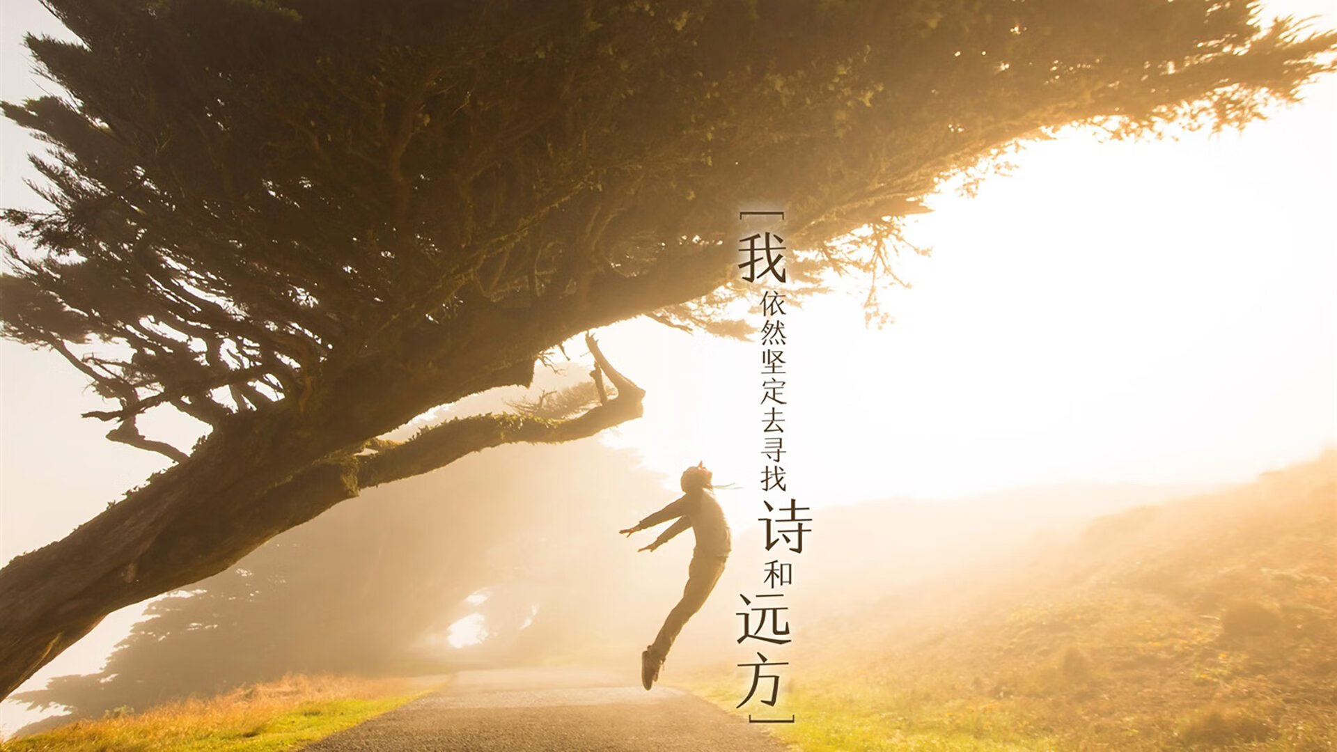 尤尼克斯力拼对手，季后赛希望未灭，尤尼克斯 2021
