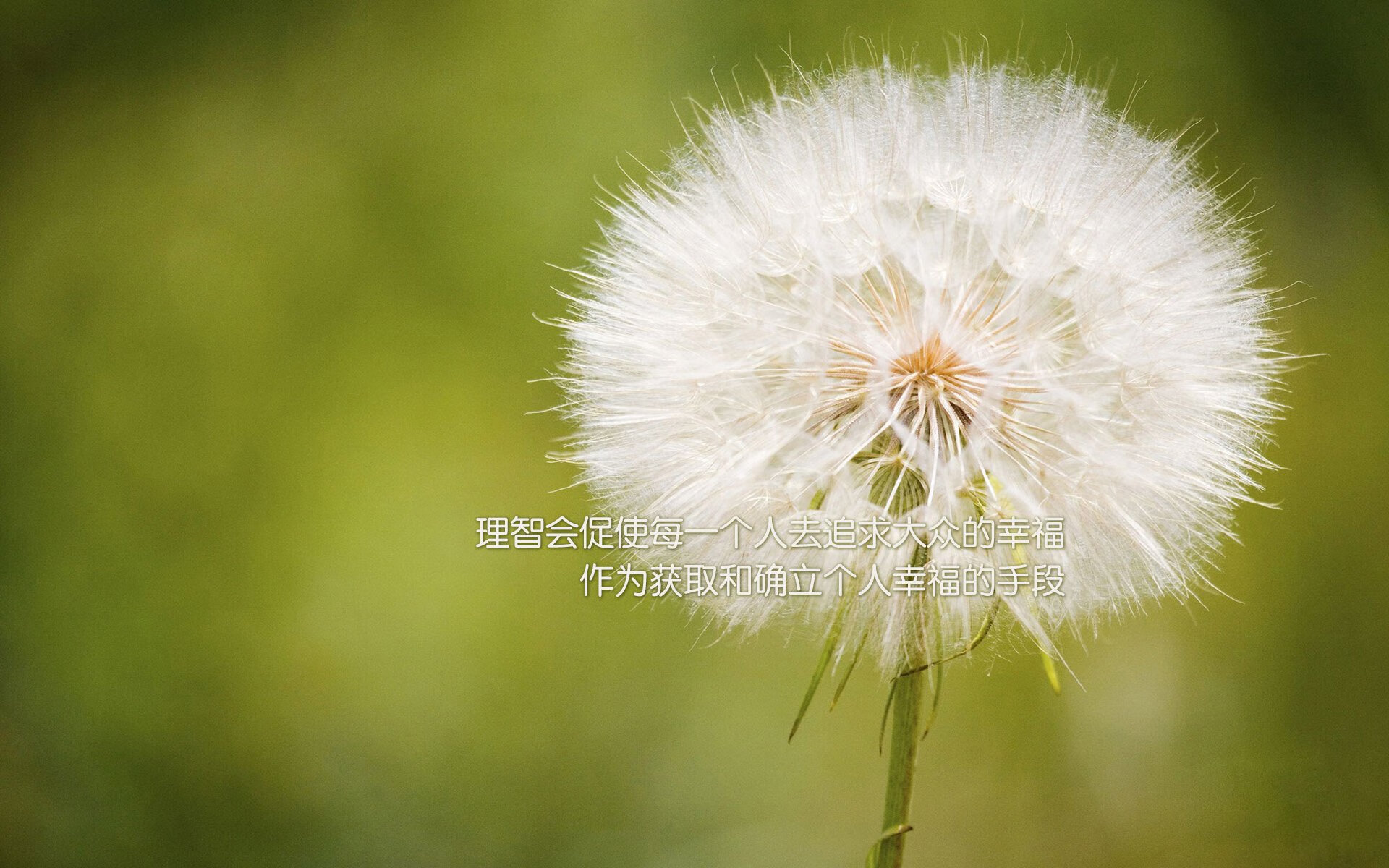 拉塞尔在篮网队客场击败步行者队，拉塞尔篮网赛季集锦