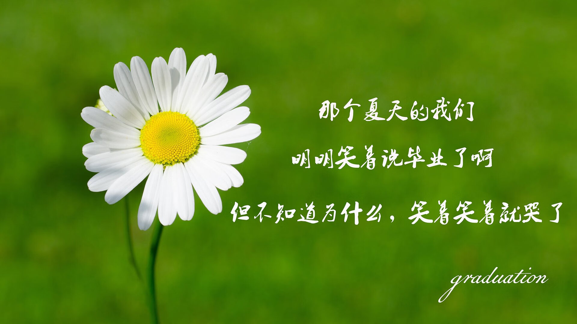 猛龙客场连败，球队士气降至冰点，猛龙晋级