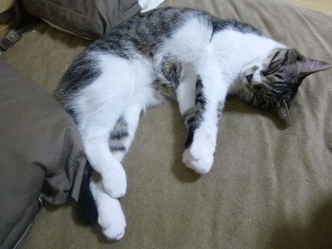 “快速、激烈，充满变化！壁球赛场在高新区全民健身馆上演极速竞技”