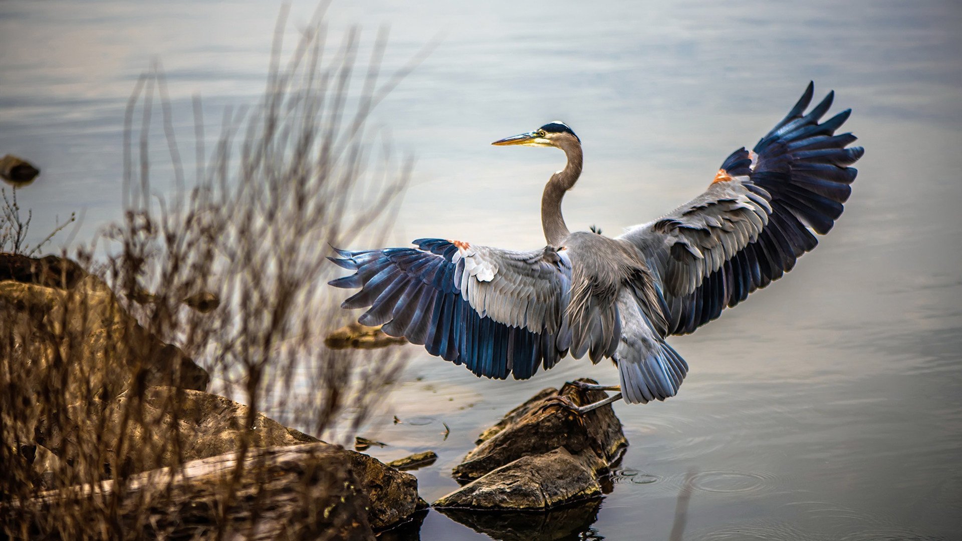 世界杯小组赛焦点战 英格兰21逆转德国,世界杯2022英格兰