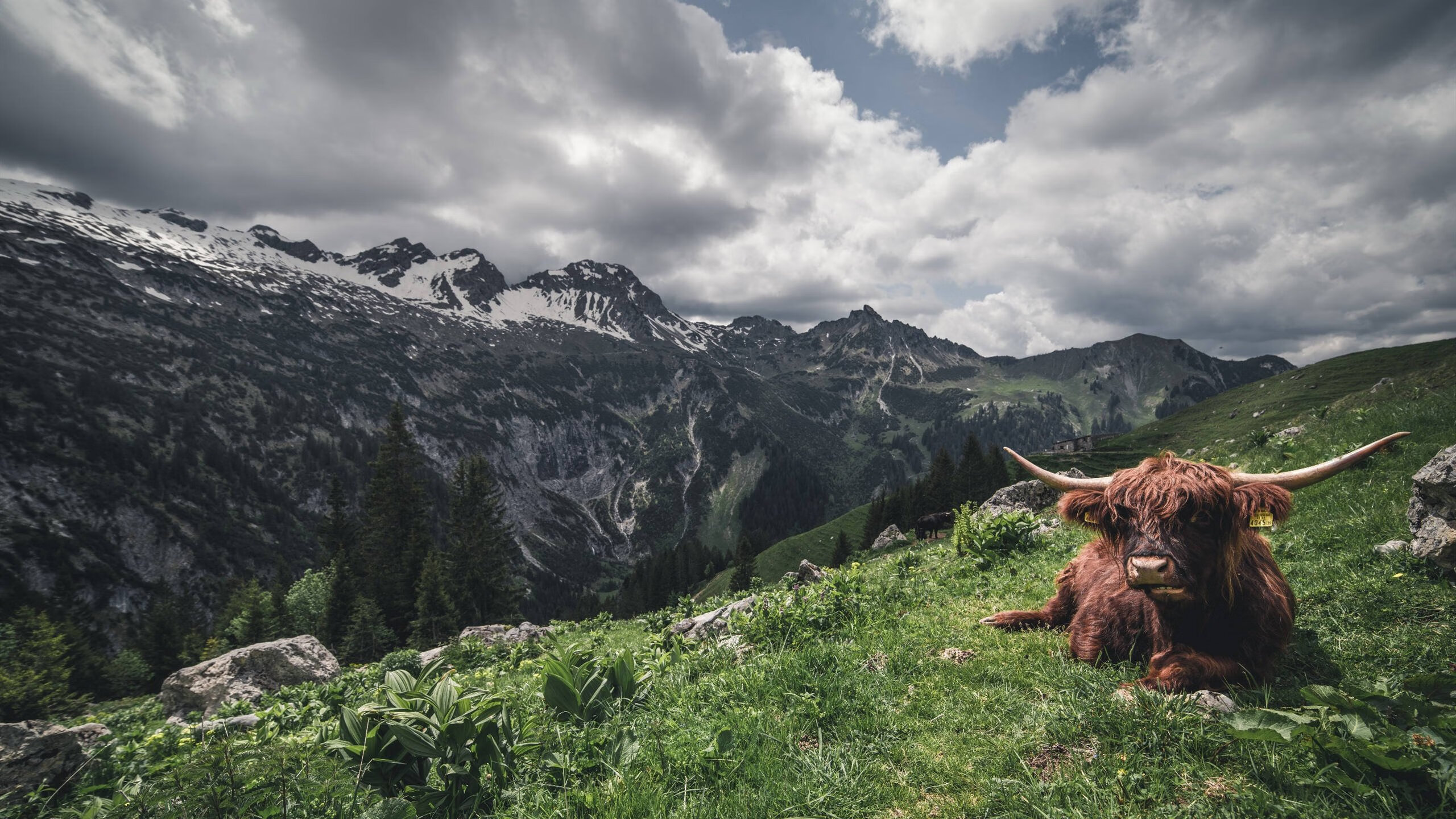 中国女篮调整进攻节奏保持比赛主动权,中国女篮进步