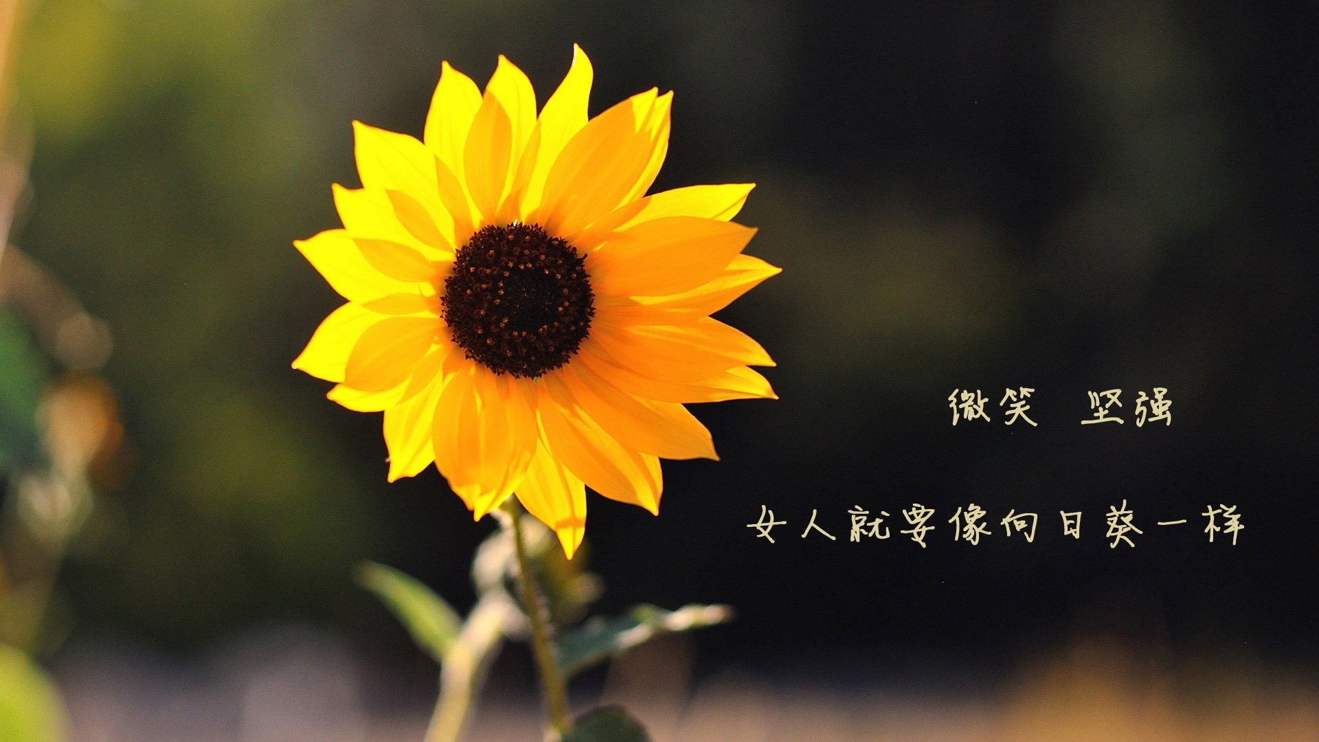 体育宣传周开展线上线下互动主题活动,体育宣传周开展线上线下互动主题活动总结