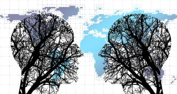 开云官方-体育新闻中心协同多方建立体育内容风控机制，体育新闻机构