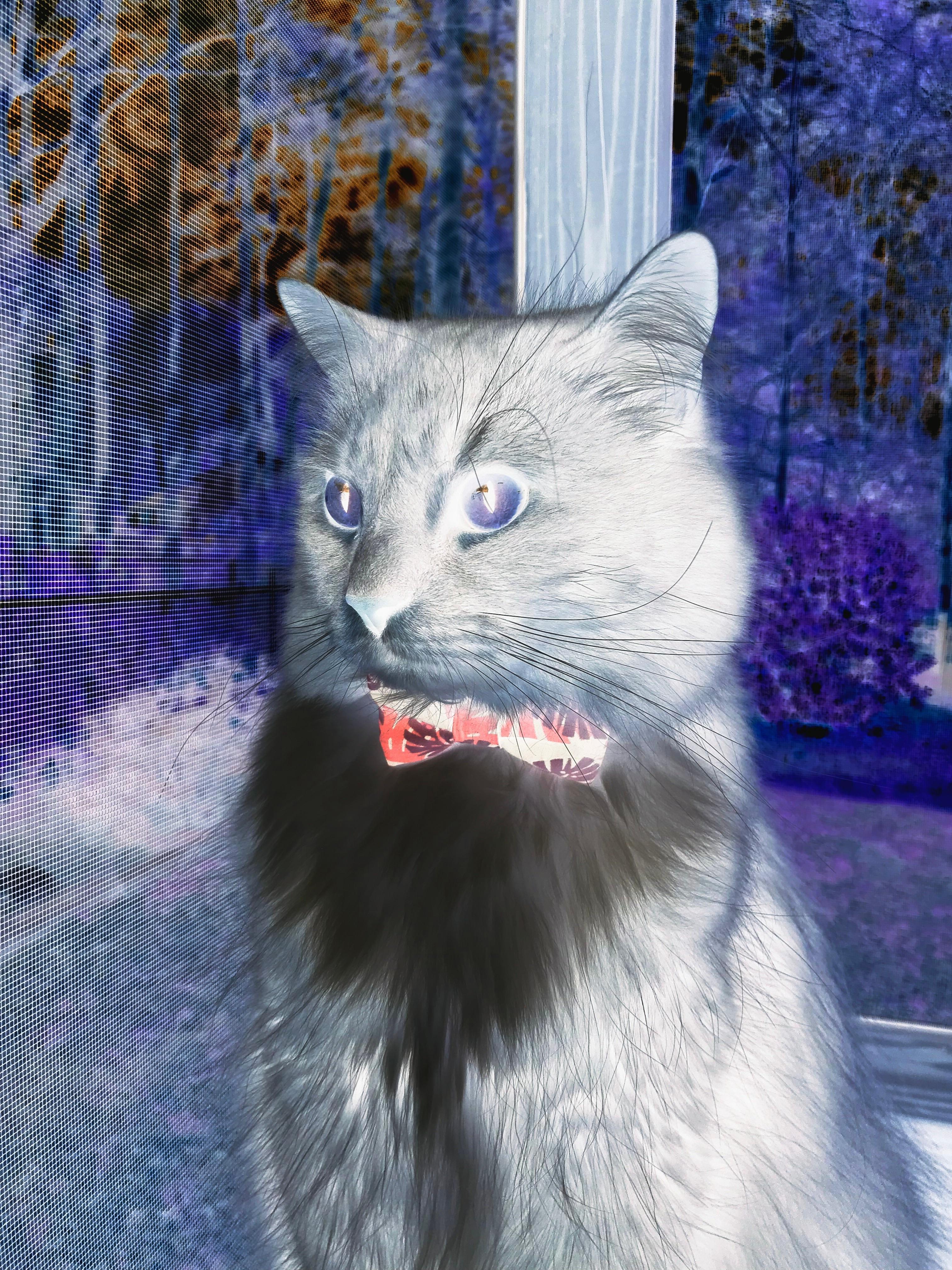 开云平台-博卡在逼抢下频现传球失误，博卡vs竞技实时比分