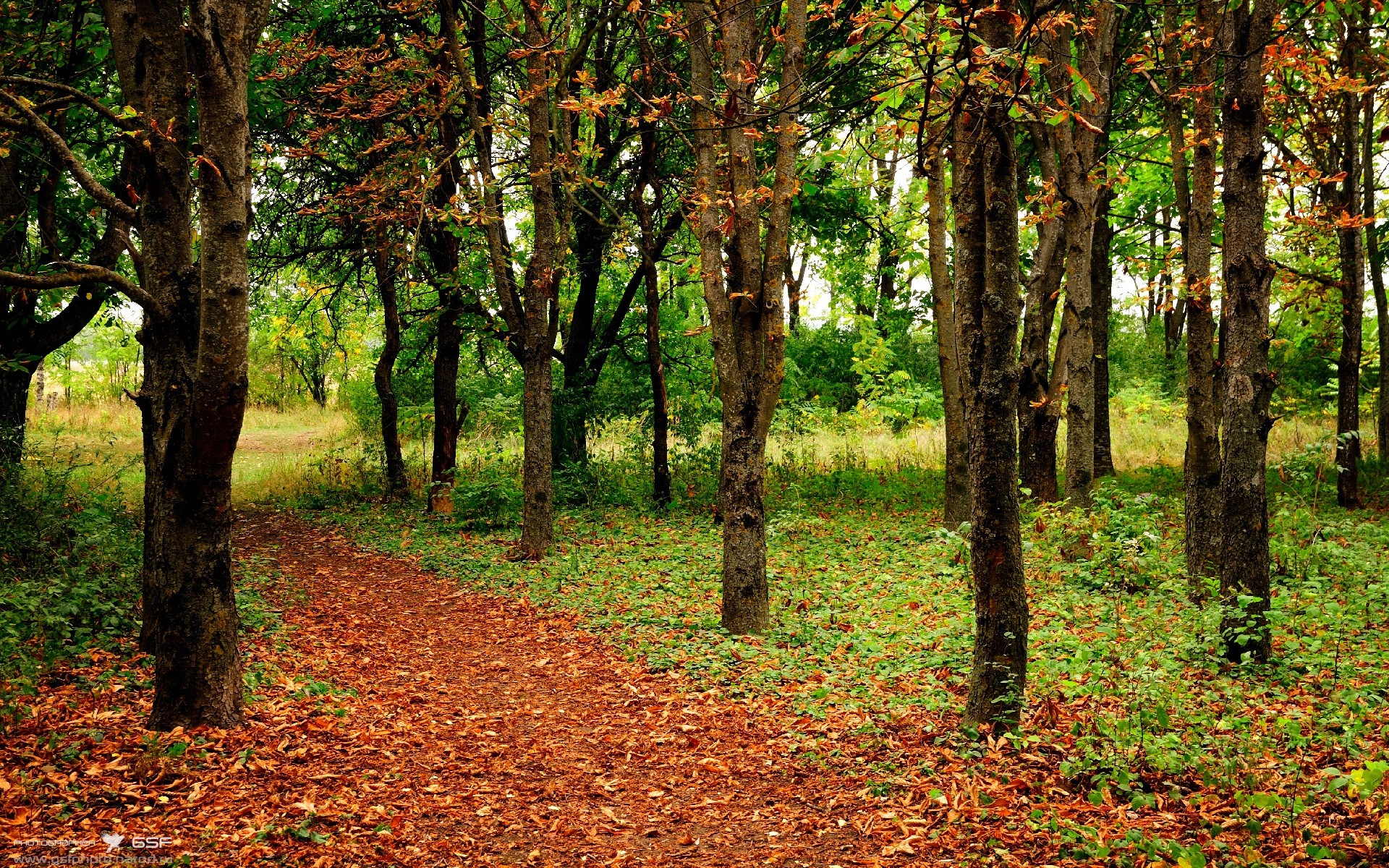 女足爆冷世界杯 球员评分引热议，女足世界杯晋级名单