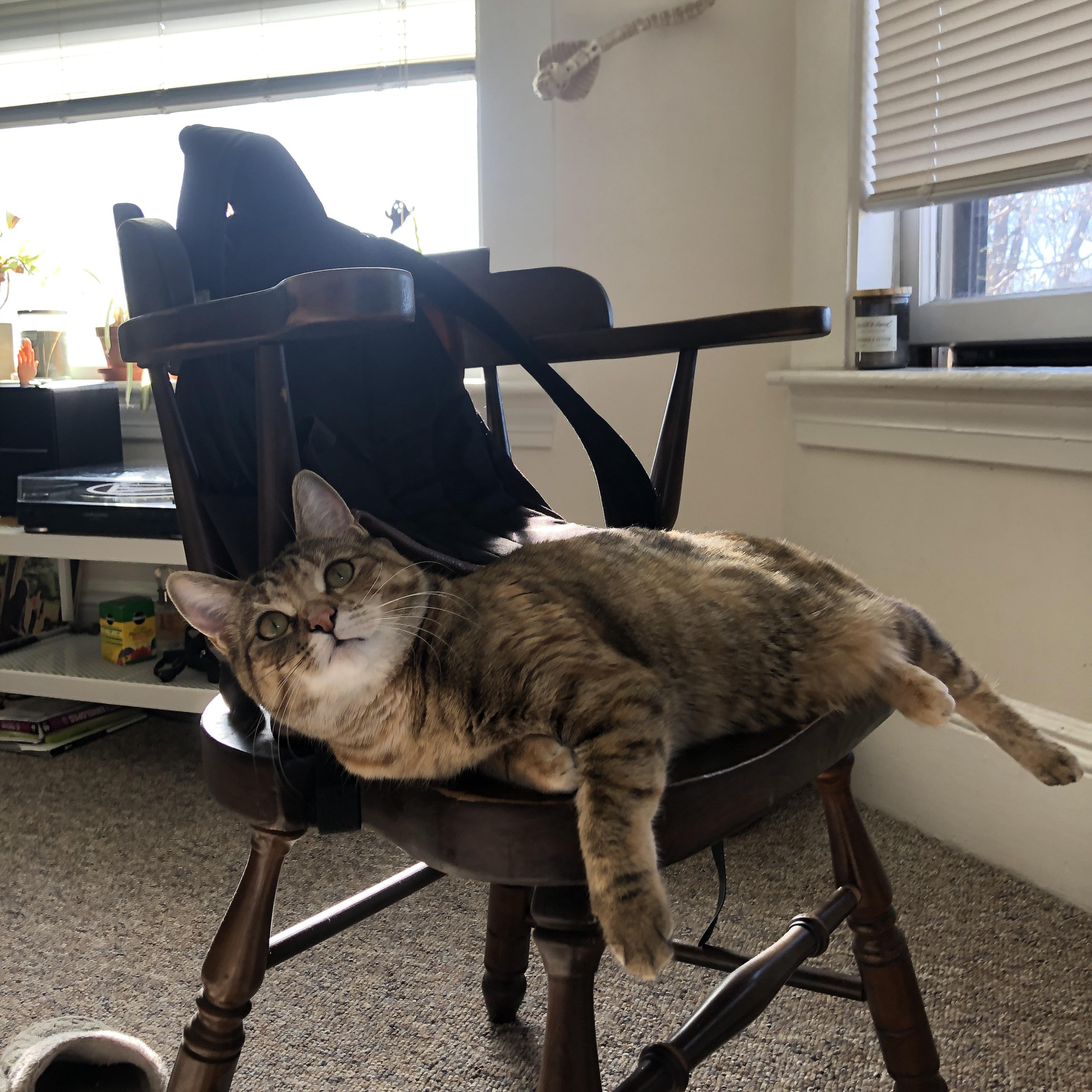 开云中国大陆-快节奏体系中小前锋的攻防作用变化分析，小前锋教学