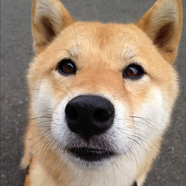 kaiyun官方入口登录-德国队在国际乒联混合团体世界杯中的未来发展：年轻力量崭露头角