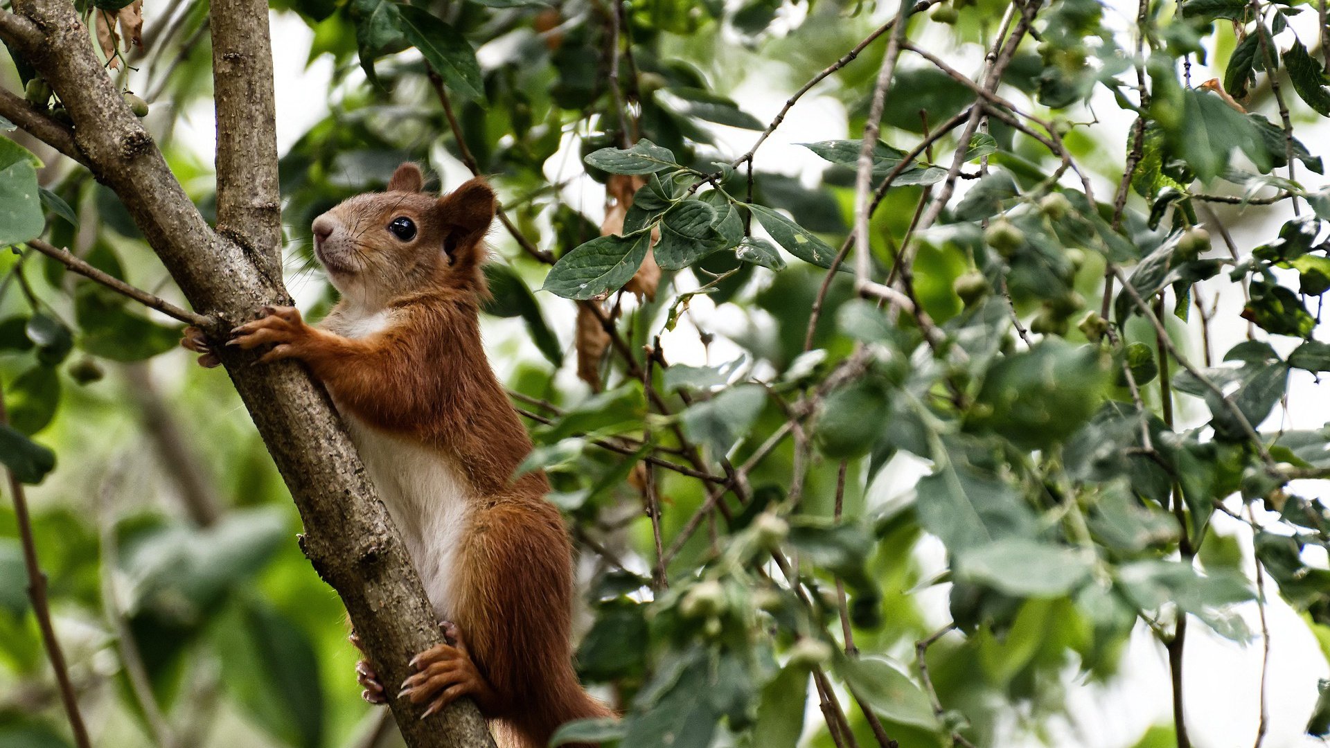 开云·Kaiyun网页版-电竞教练战术储备充足临场指挥堪比传统体育，电竞教练是干什么的