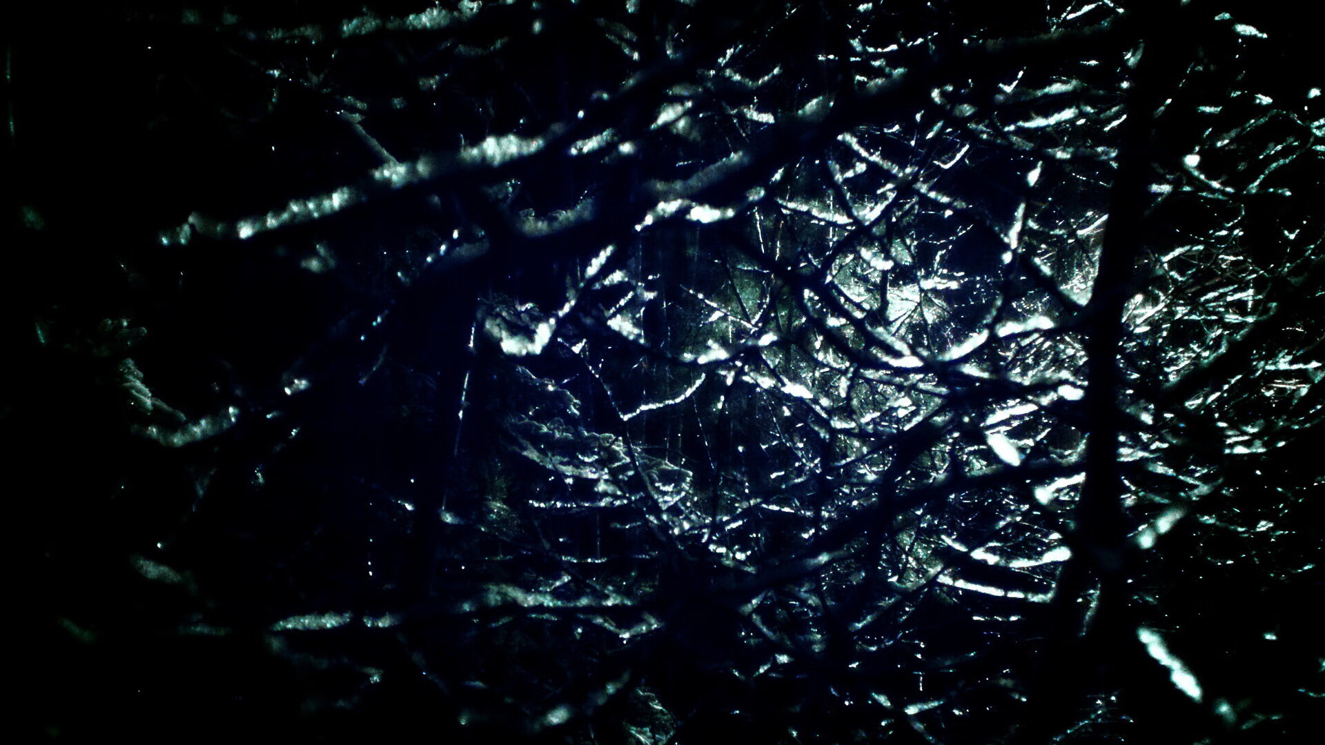 kaiyun开云·官方网站-美澳选手高频换气与高强度并存