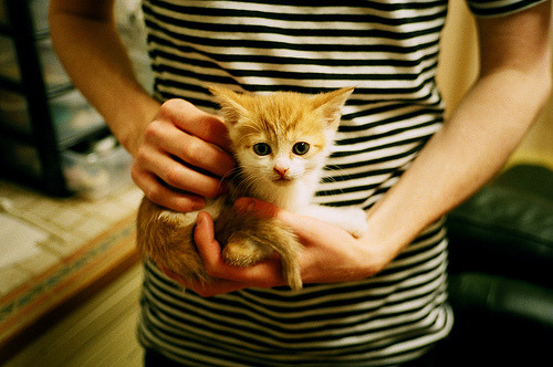 观众席无障碍设施升级提升体验感，无障碍接待台