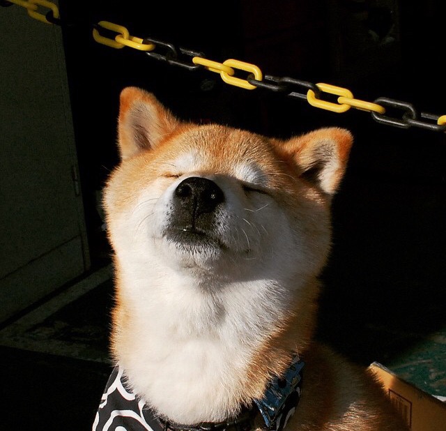 开云网站-西甲伟大瞬间：老将的神级表现，西甲老牌强队