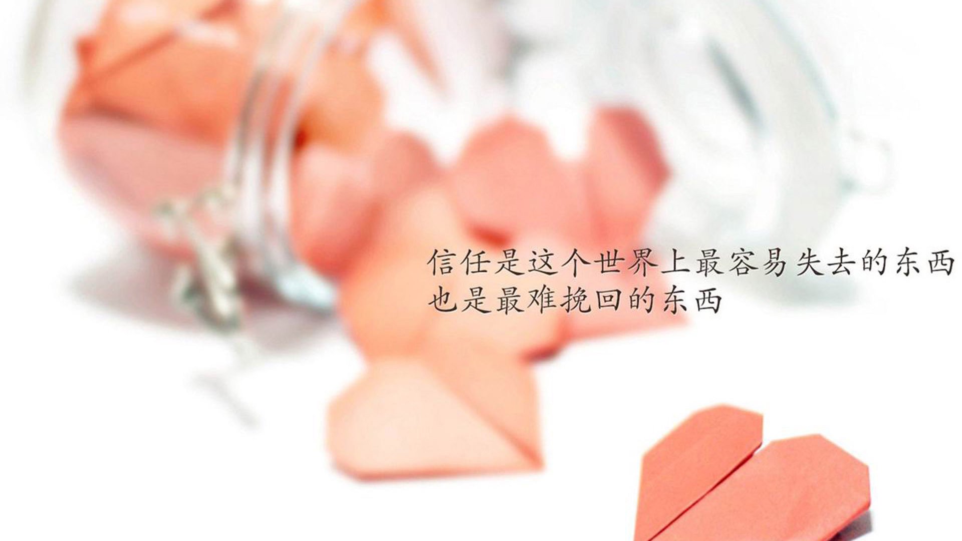 kaiyun网站-青少年足球节如期举行各地小球员展示不俗竞技水平，青少年足球秀节目有哪些